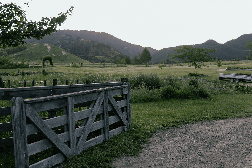 Premium handcrafted timber frame barn homes made in New Zealand with traditional joinery